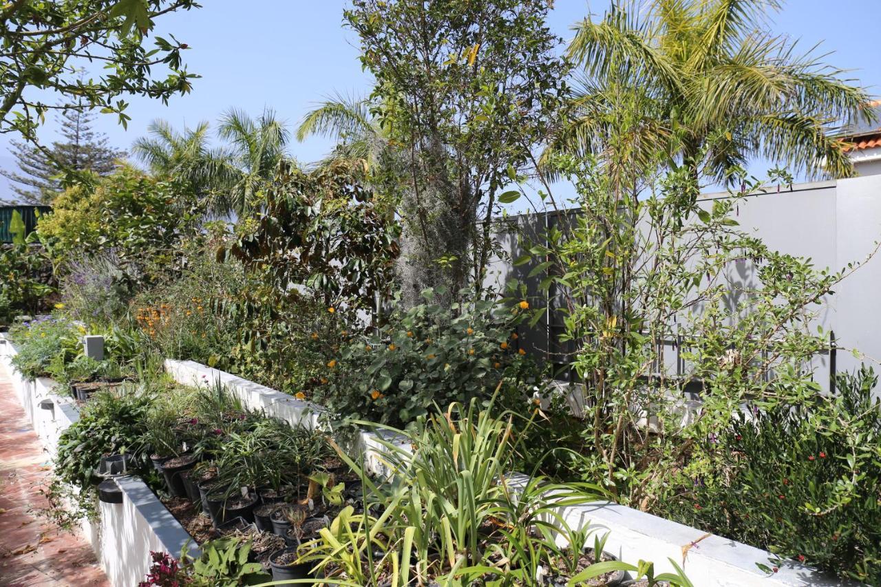 Jungle Paradise ลาโอโรตาวา ภายนอก รูปภาพ